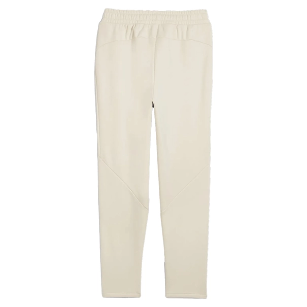 Puma EVOSTRIPE WINTERIZED PANTS