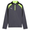 Puma INDIVIDUALLIGA 1/4 ZIP TOP