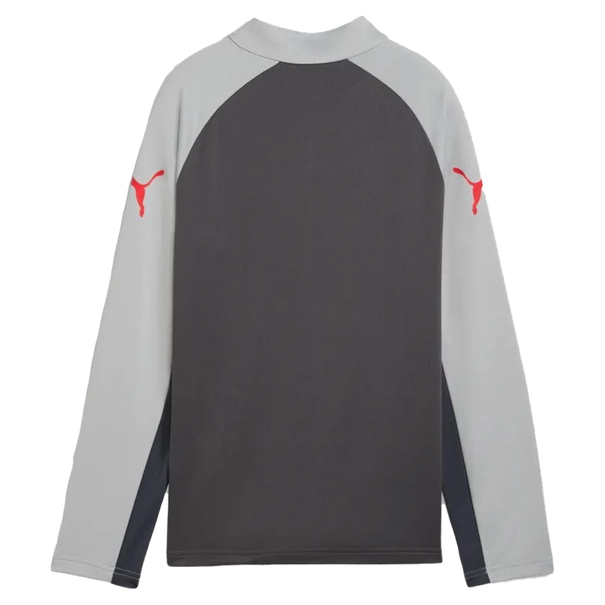 Puma IndividualLIGA 1/4 Zip