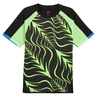 Puma INDIVIDUALLIGA GRAPHIC JERSEY