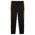 Puma INDIVIDUALLIGA TRAINING PA