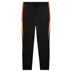 Puma INDIVIDUALLIGA TRAINING PA