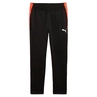 Puma INDIVIDUALLIGA TRAINING PA