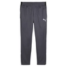 Puma INDIVIDUALLIGA TRAINING PA