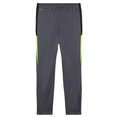 Puma INDIVIDUALLIGA TRAINING pant