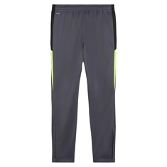 Puma INDIVIDUALLIGA TRAINING pant