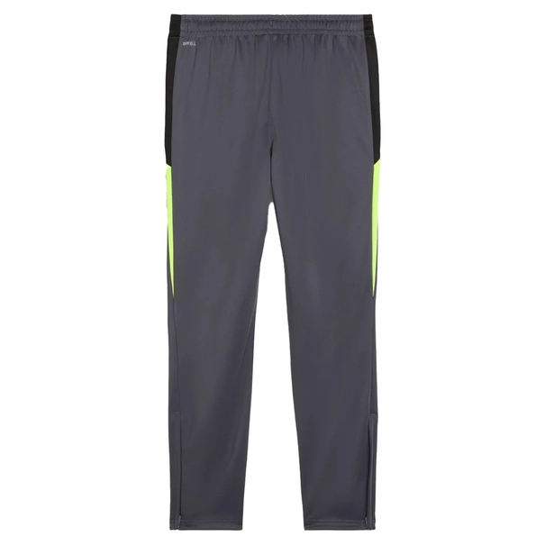 Puma INDIVIDUALLIGA TRAINING pant