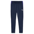 Puma INDIVIDUALLIGA TRAINING PANTS