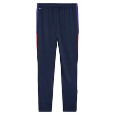 Puma INDIVIDUALLIGA TRAINING PANTS