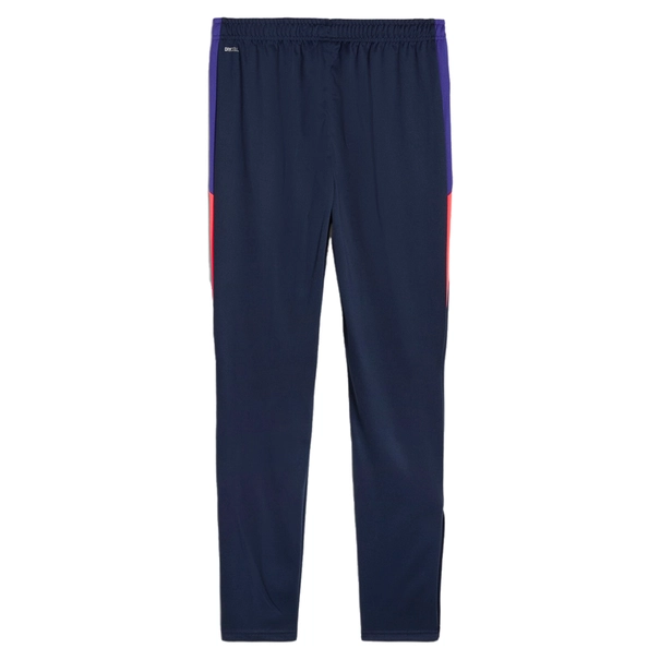 Puma INDIVIDUALLIGA TRAINING PANTS
