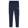 Puma INDIVIDUALLIGA TRAINING PANTS
