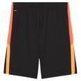 Puma INDIVIDUALLIGA TRAINING SH