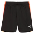 Puma INDIVIDUALLIGA TRAINING SH
