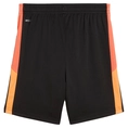 Puma INDIVIDUALLIGA TRAINING SH
