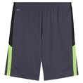 Puma INDIVIDUALLIGA TRAINING SH