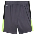 Puma INDIVIDUALLIGA TRAINING SH