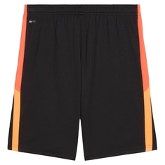 Puma INDIVIDUALLIGA TRAINING SH