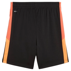Puma INDIVIDUALLIGA TRAINING SH