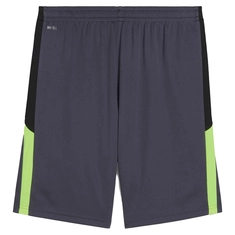 Puma INDIVIDUALLIGA TRAINING SH