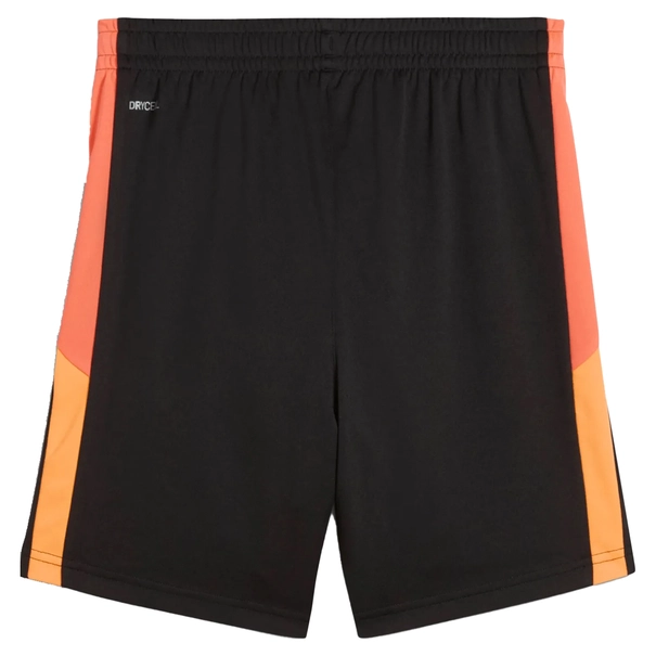 Puma INDIVIDUALLIGA TRAINING SH
