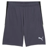 Puma INDIVIDUALLIGA TRAINING SH