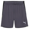 Puma INDIVIDUALLIGA TRAINING SH