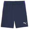 Puma INDIVIDUALLIGA TRAINING SHORT