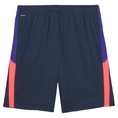 Puma INDIVIDUALLIGA TRAINING SHORT