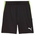 Puma INDIVIDUALLIGA TRAINING SHORT