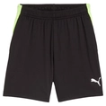 Puma INDIVIDUALLIGA TRAINING SHORT