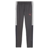 Puma IndividualLIGA Trainingsbroek