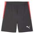 Puma IndividualLIGA Trainingsshort