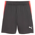 Puma IndividualLIGA Trainingsshort