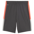 Puma IndividualLIGA Trainingsshort