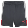 Puma IndividualLIGA Trainingsshort