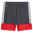 Puma IndividualLIGA Trainingsshort