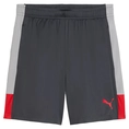 Puma IndividualLIGA Trainingsshort