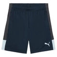Puma IndividualLIGA Trainingsshort
