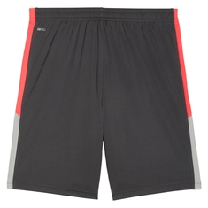Puma IndividualLIGA Trainingsshort