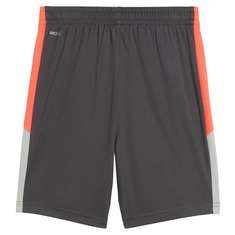Puma IndividualLIGA Trainingsshort