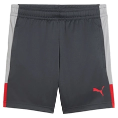 Puma IndividualLIGA Trainingsshort