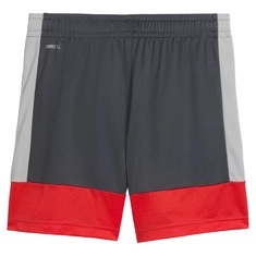 Puma IndividualLIGA Trainingsshort