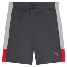 Puma IndividualLIGA Trainingsshort