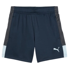 Puma IndividualLIGA Trainingsshort