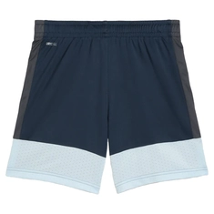 Puma IndividualLIGA Trainingsshort