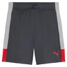 Puma IndividualLIGA Trainingsshort