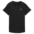 Puma Tad Essential Heather T-Shirt