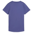 Puma Tad Essential V-Neck T-Shirt