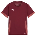Puma TeamGOAL Matchday Jersey