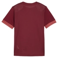 Puma TeamGOAL Matchday Jersey